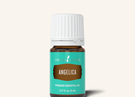 Angelica Essential Oil